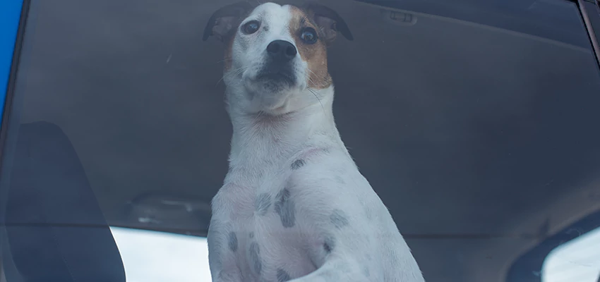 Car Lockout Solutions in Carlsbad, California