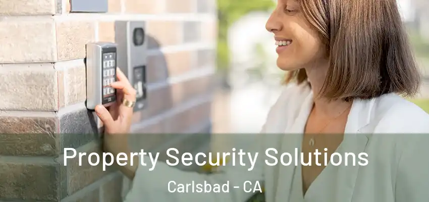  Property Security Solutions Carlsbad - CA